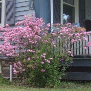 Meet your Posher, Ellen